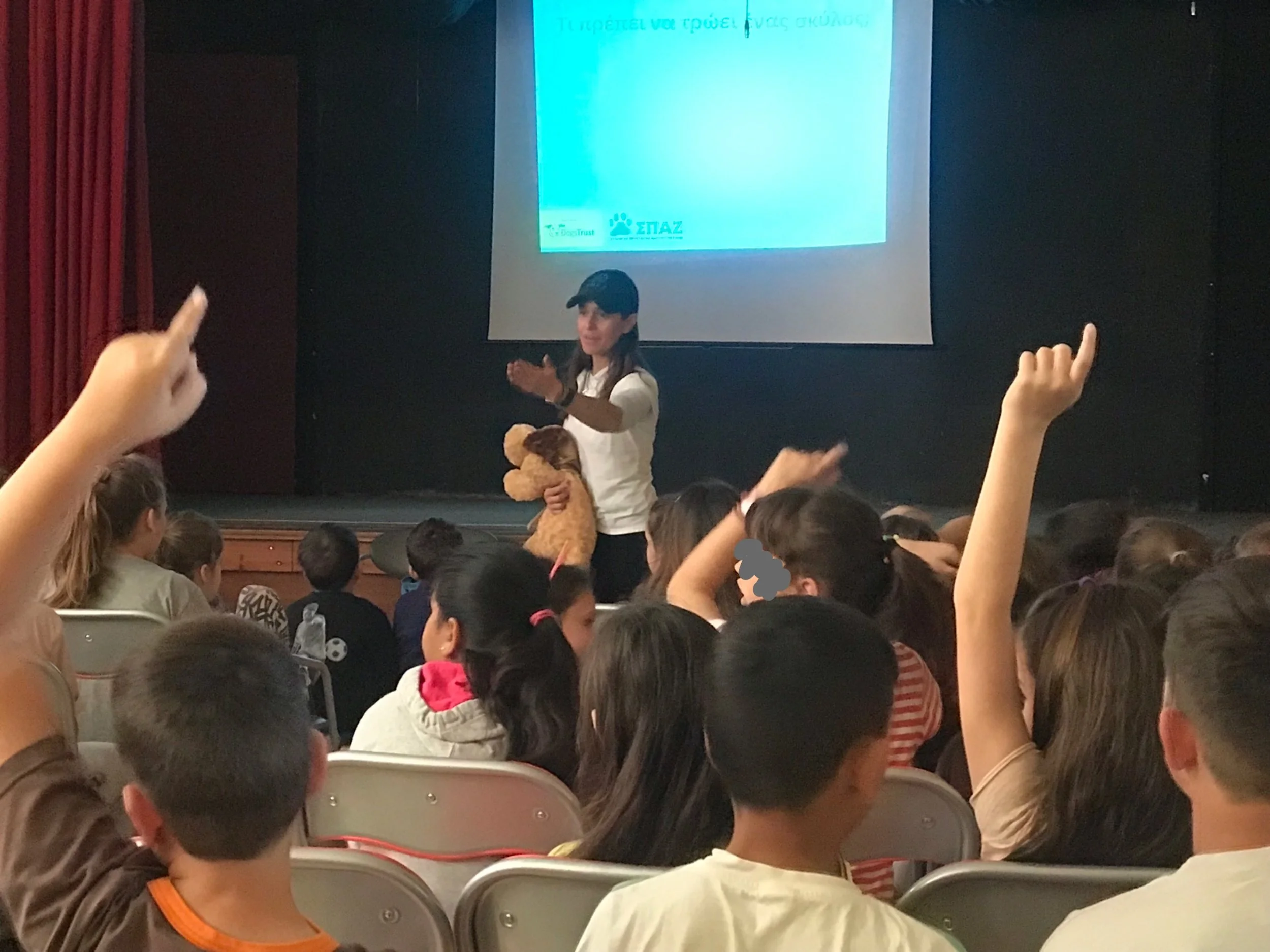 education elementary 2.JPG