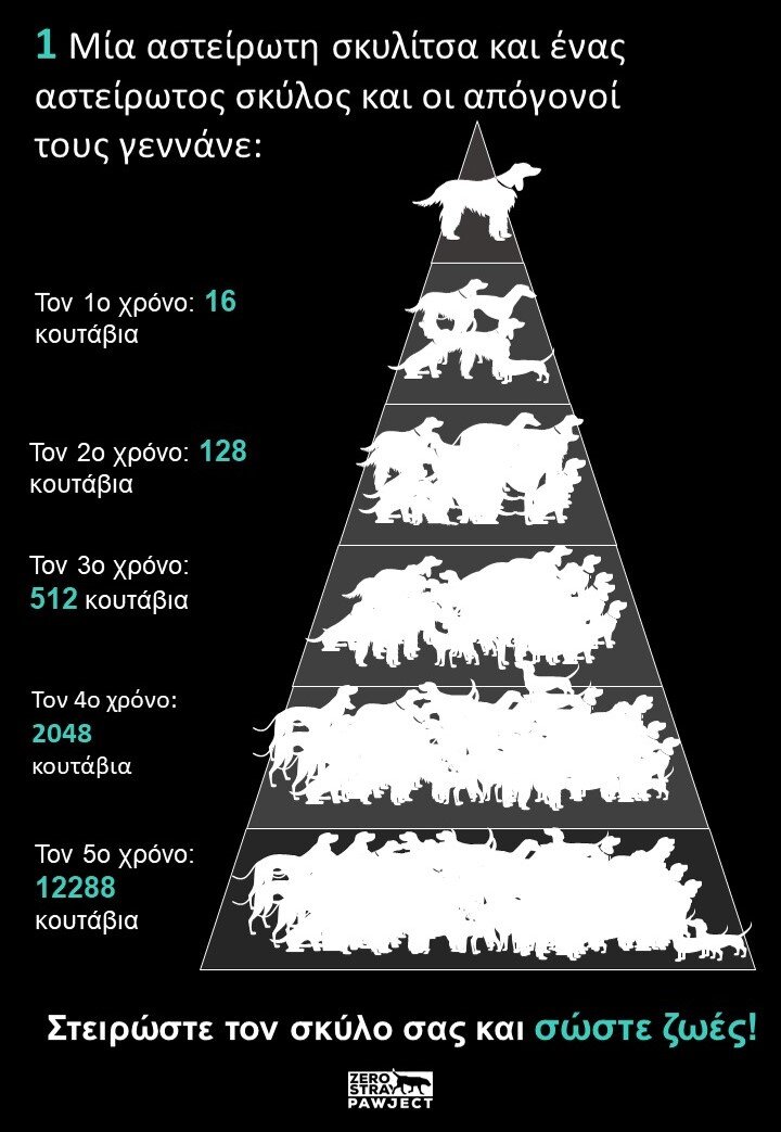 Spay and Neuter Final NEW 12 05 2020.jpg