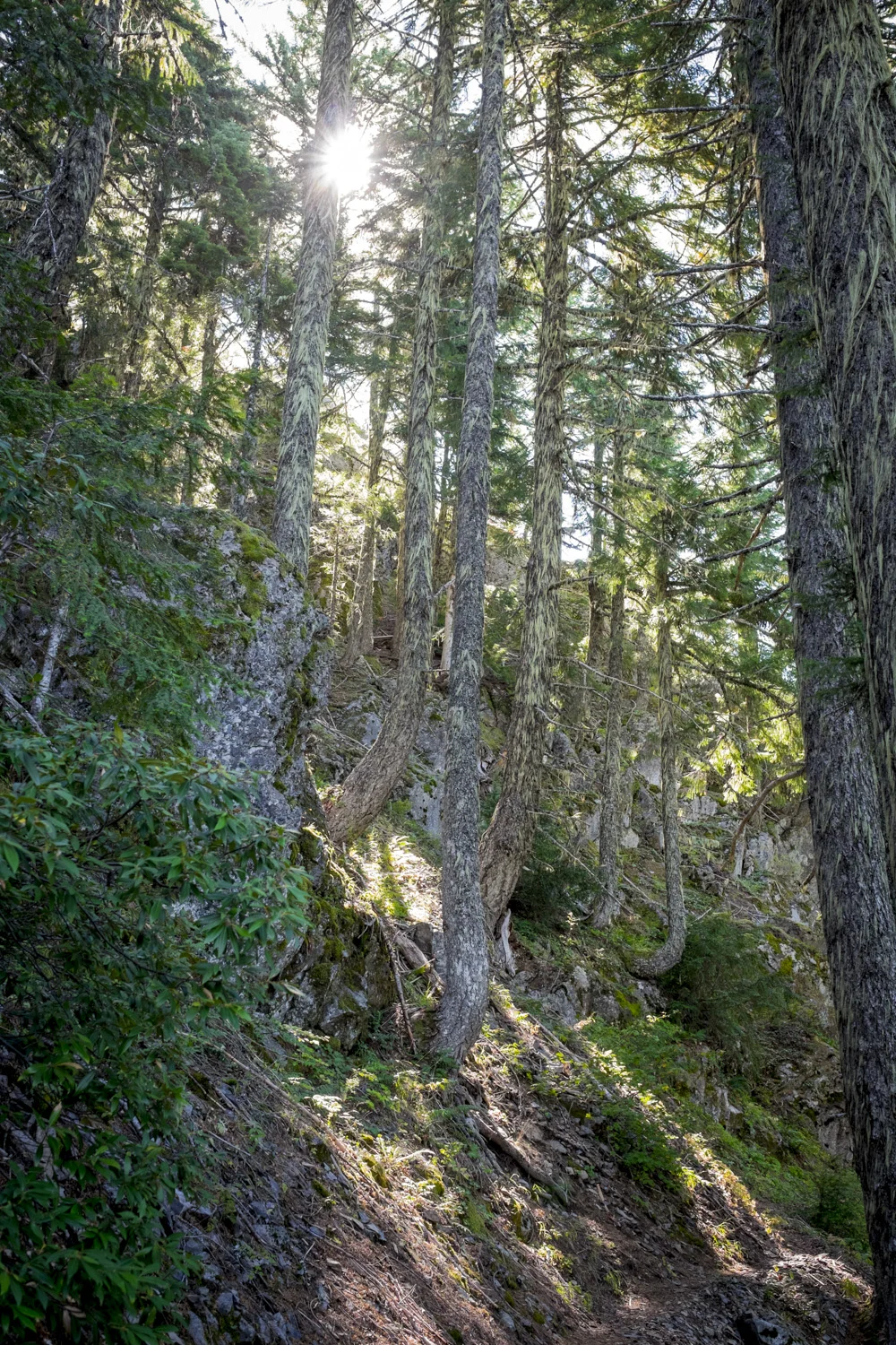 Trail to Illahee Rock Lookout