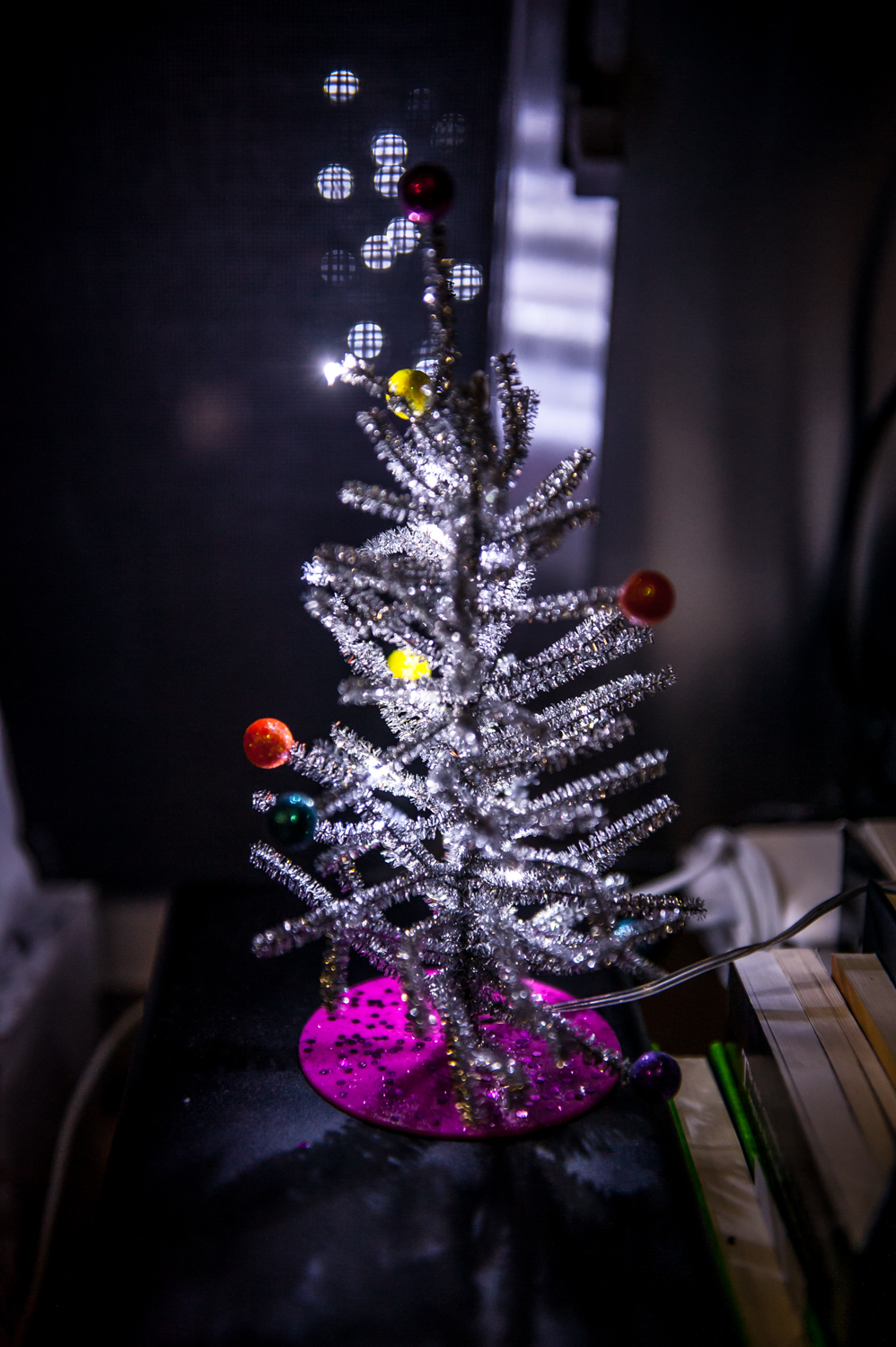 Silver tree