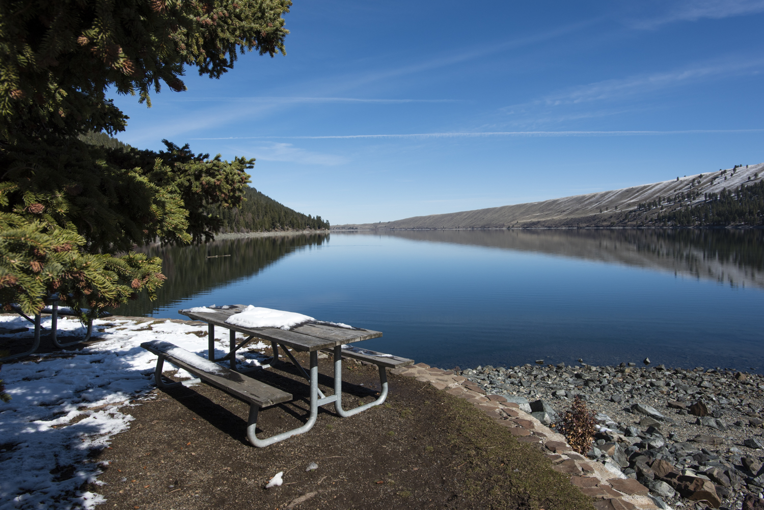 Picnic anyone?