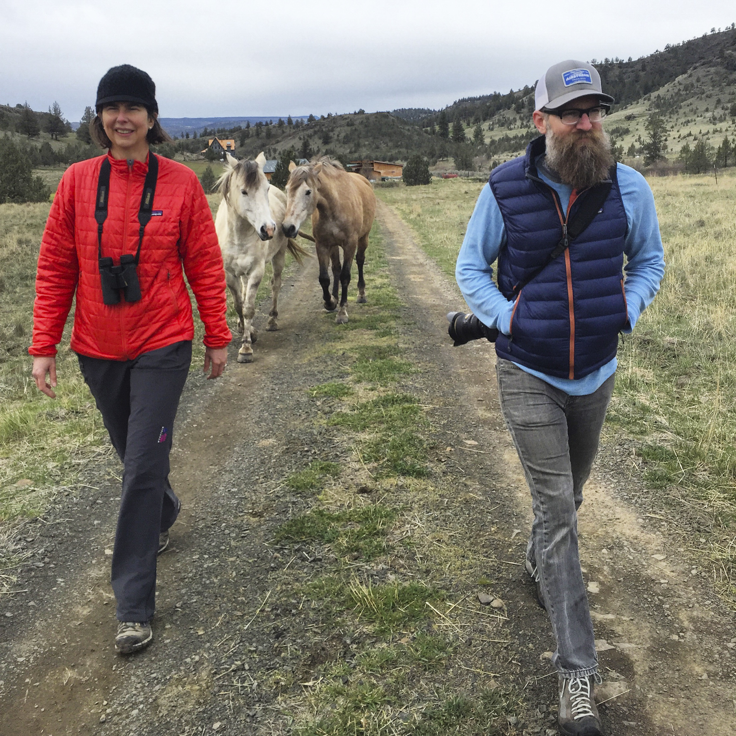 The horses were totally gossiping about Bill and Philippa.