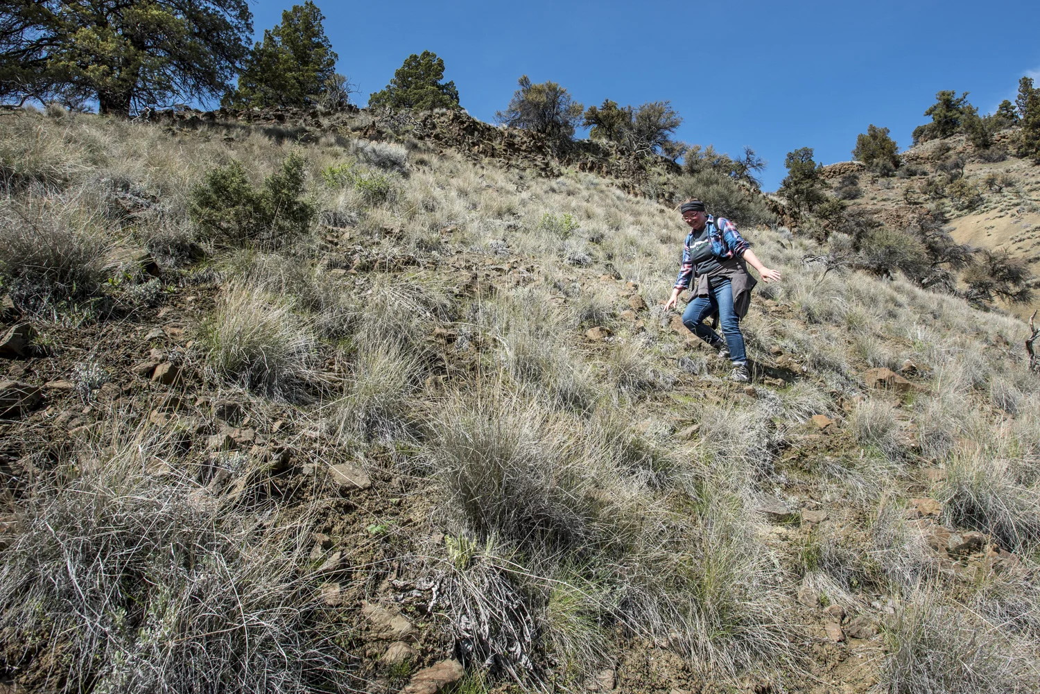 Heather scrambling down the hill during Philappa's "little" (3 hour) hike near the cabin.