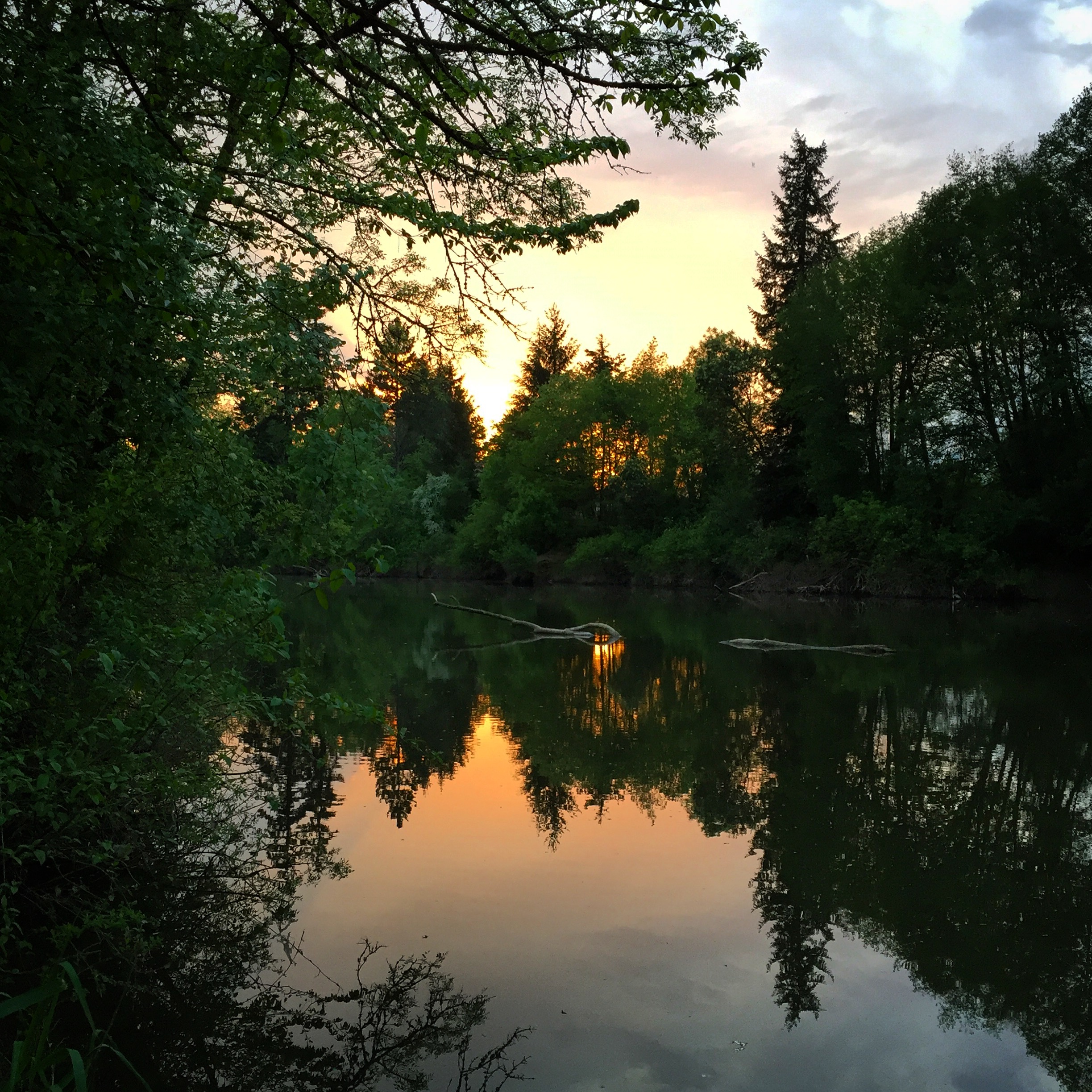 Gorgeous evening light on the Tualatin River.