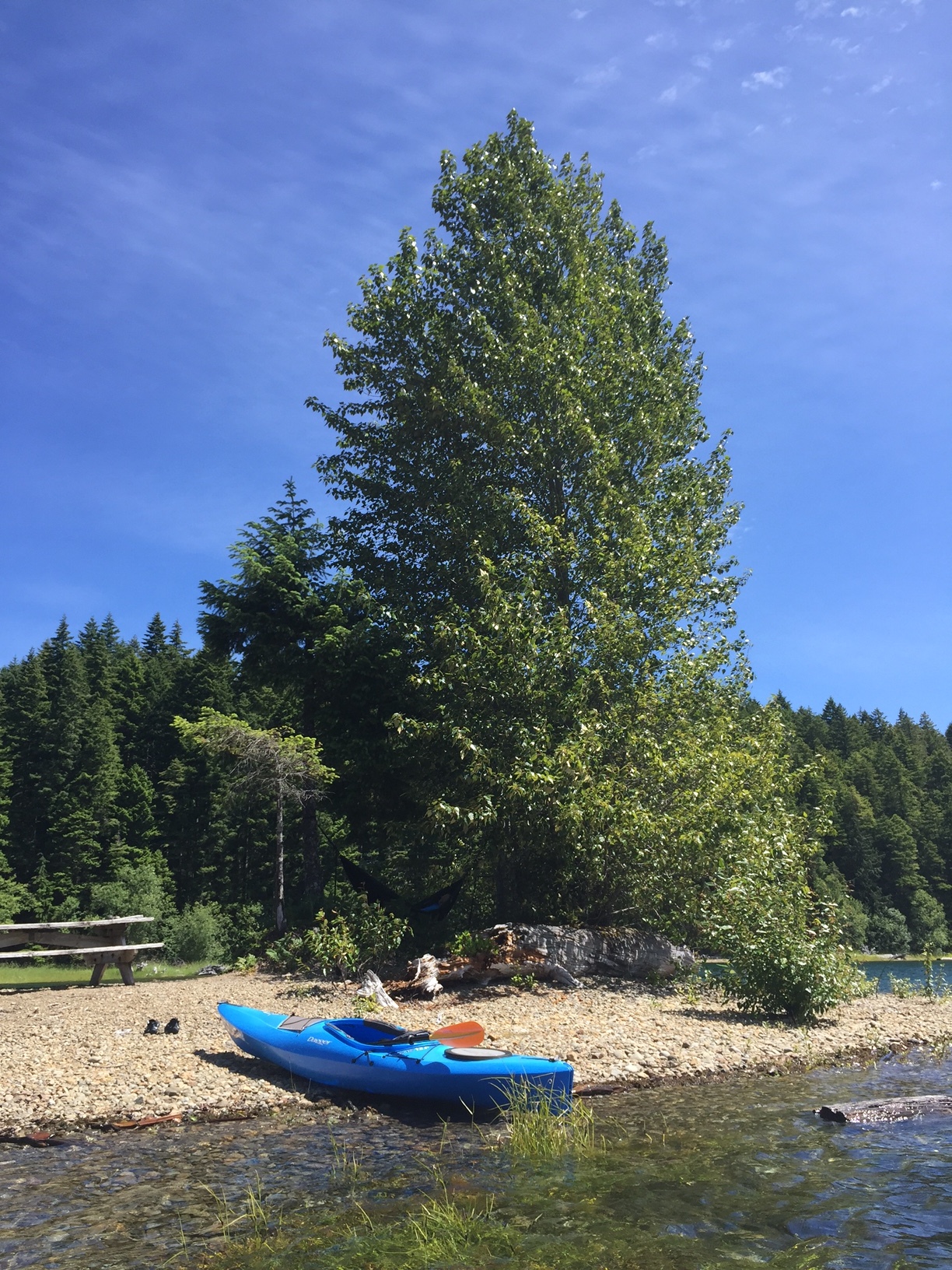 lone kayaker on a small island in the lake.