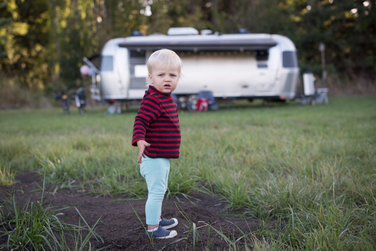 Huckleberry checking out the Airstream.