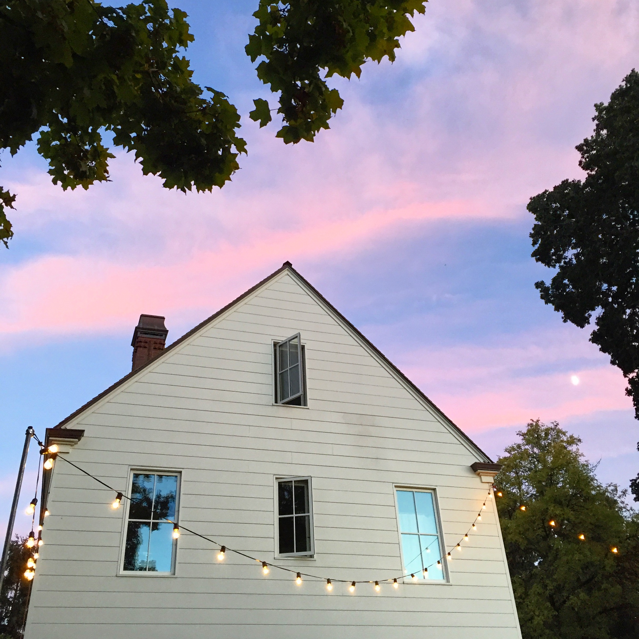 Dreamy night for the "Collectivo" launch party.
