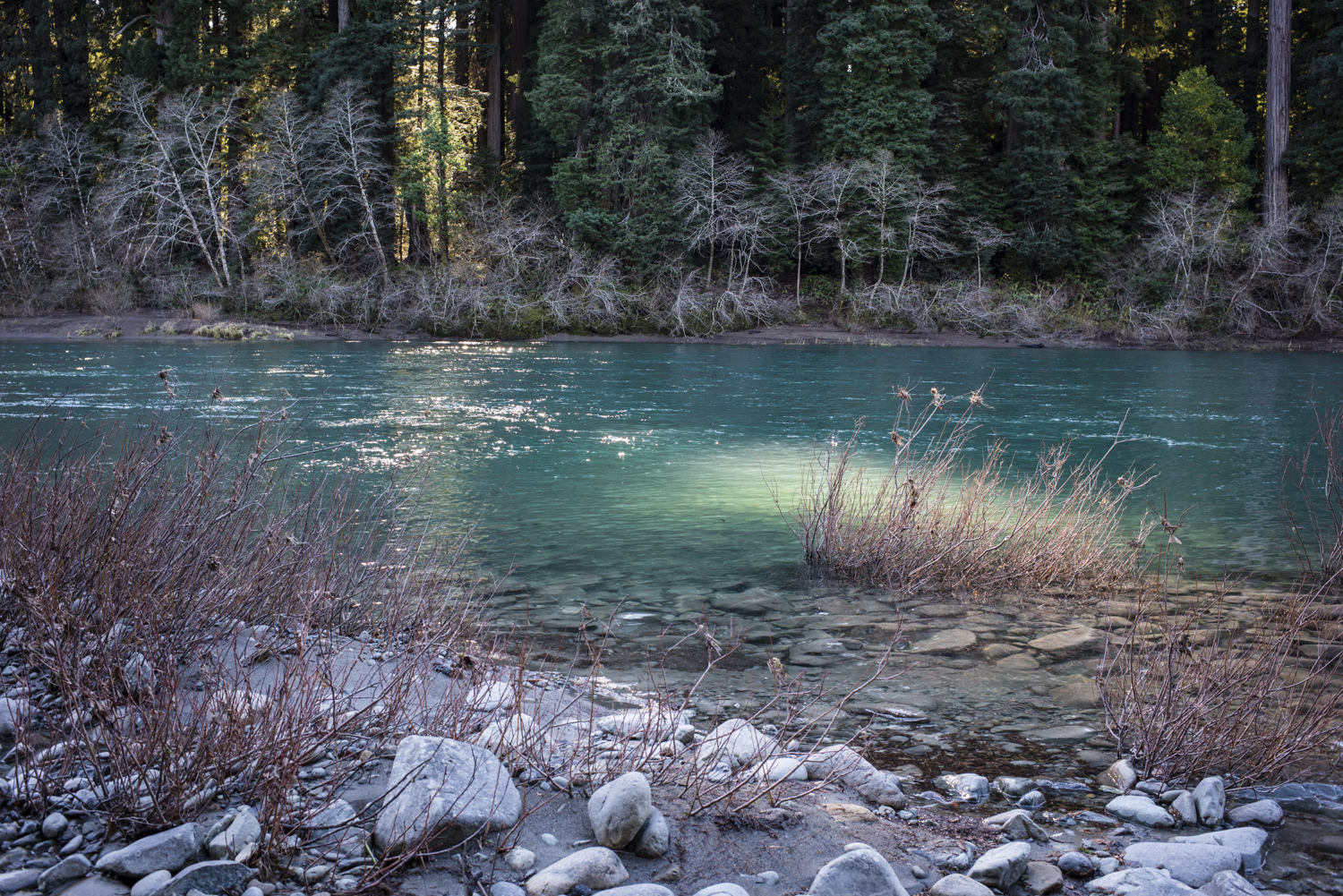 Slightly obsessed with the color of the Smith River