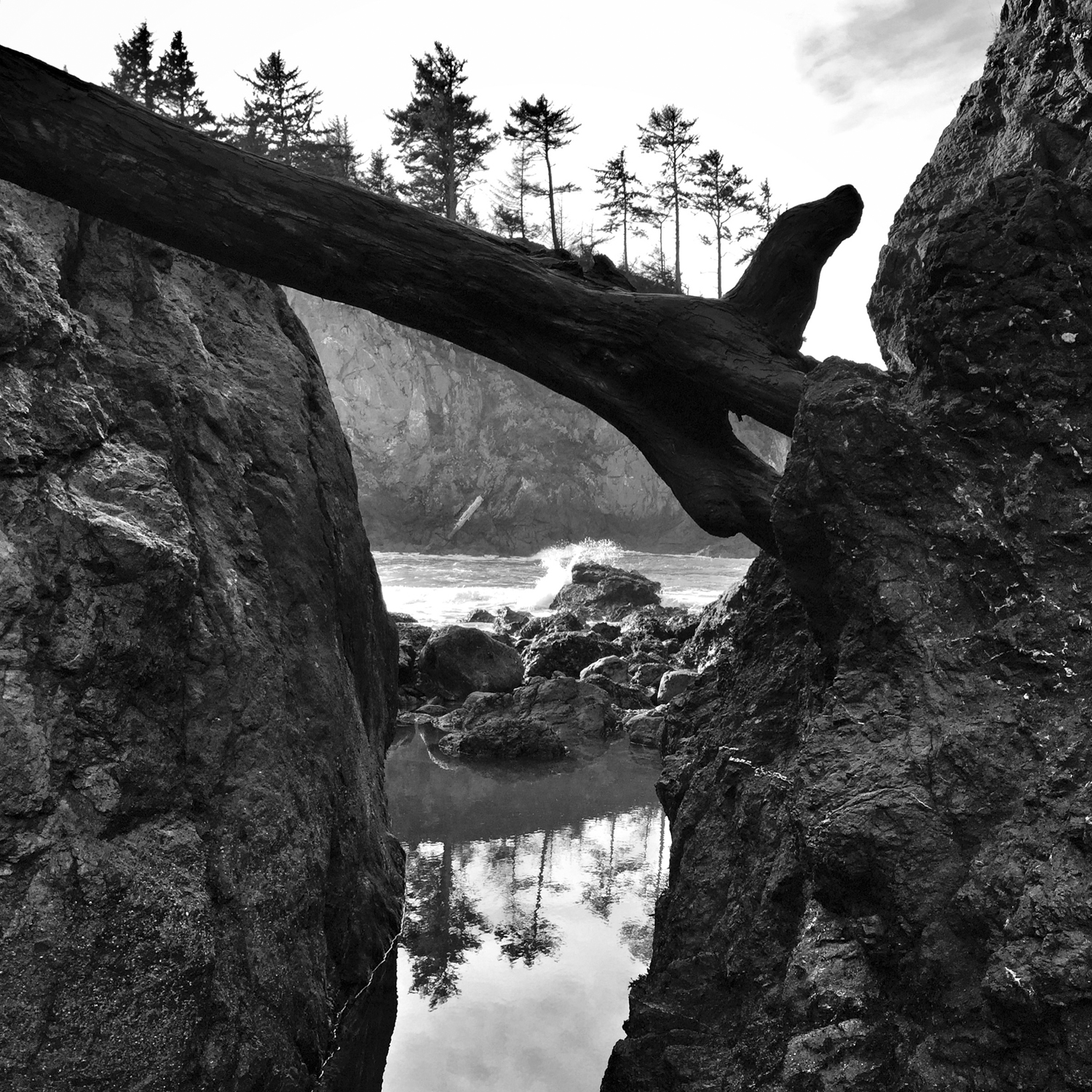 While poor Bill was sick in bed, I took a Xmas morning hike to the beach near our RV park. ( Phone)