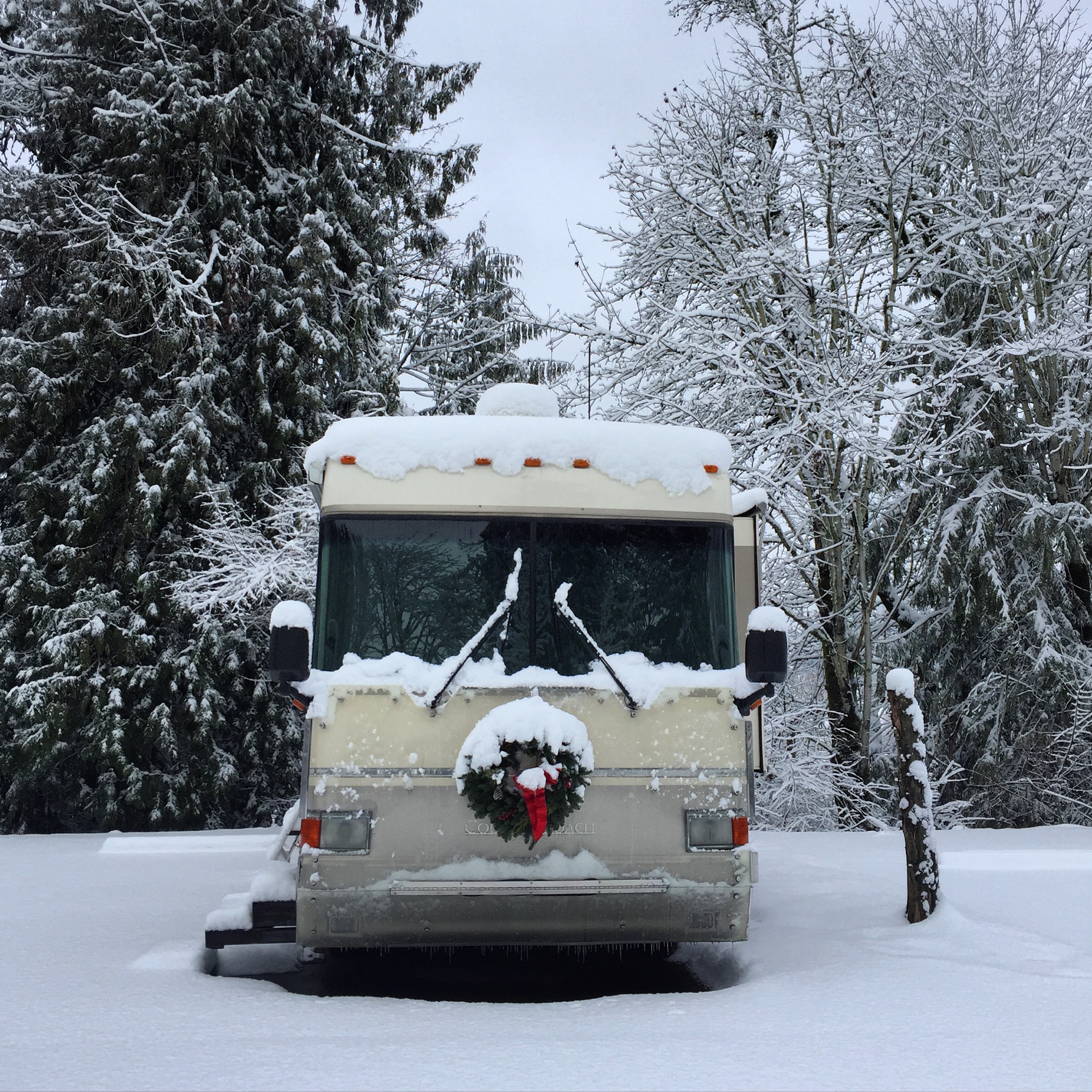 Our neighbor at Roamer's Rest RV Park.