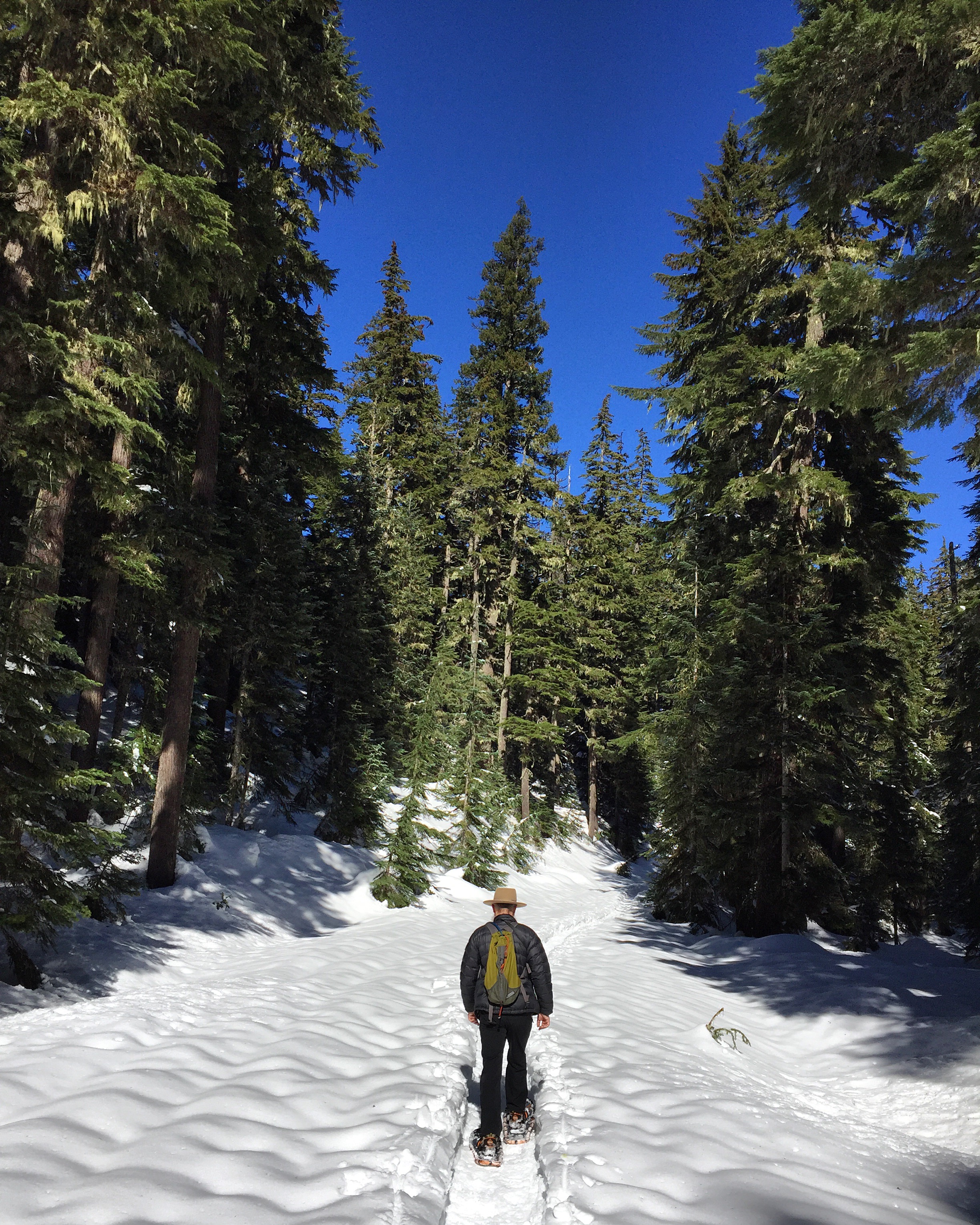 We managed to get out and up to Mount Hood for a fun snowshoe trek on one of the few sunny days this winter.