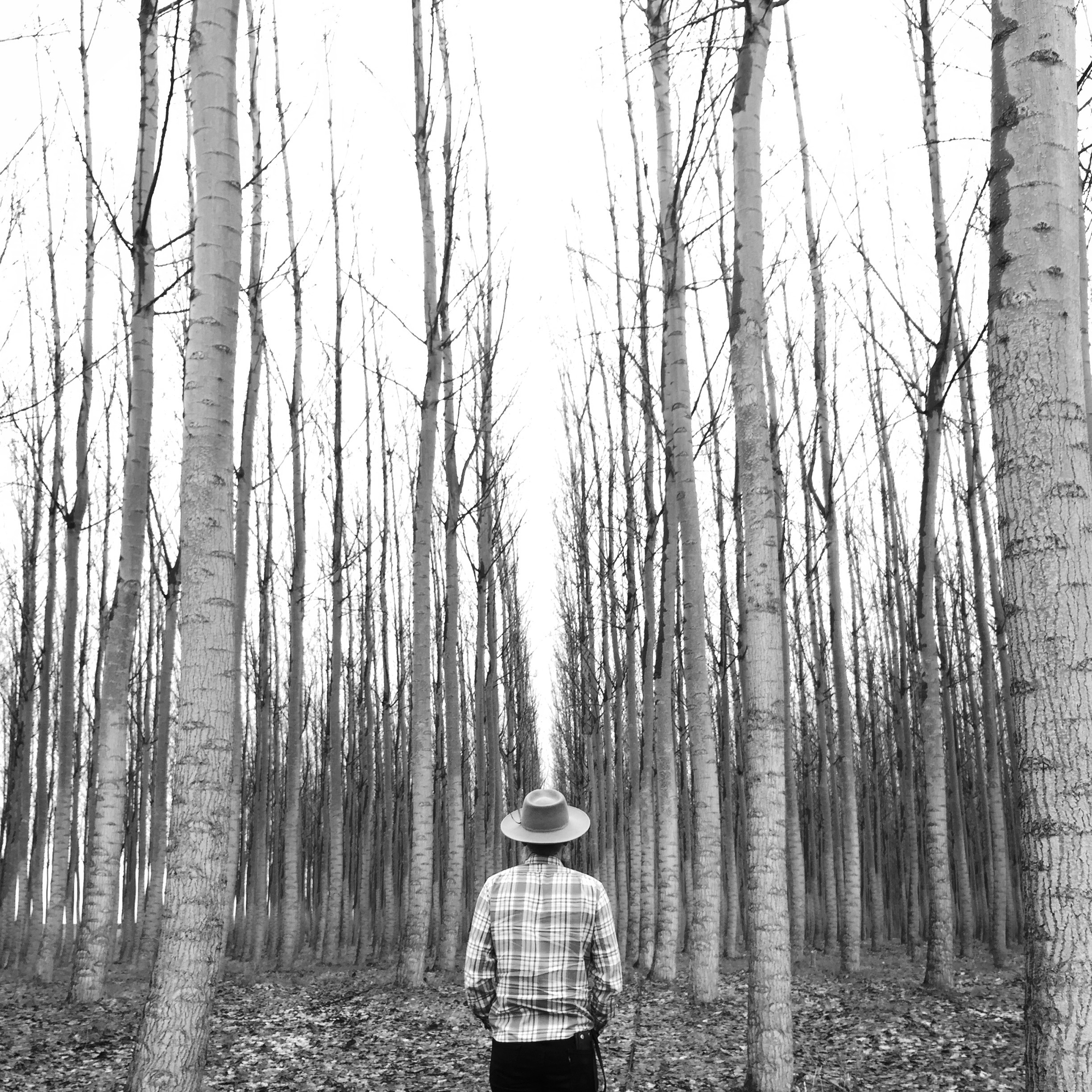 Obligatory 'Bill wearing a hat staring at trees' photo (Heather - iphone)