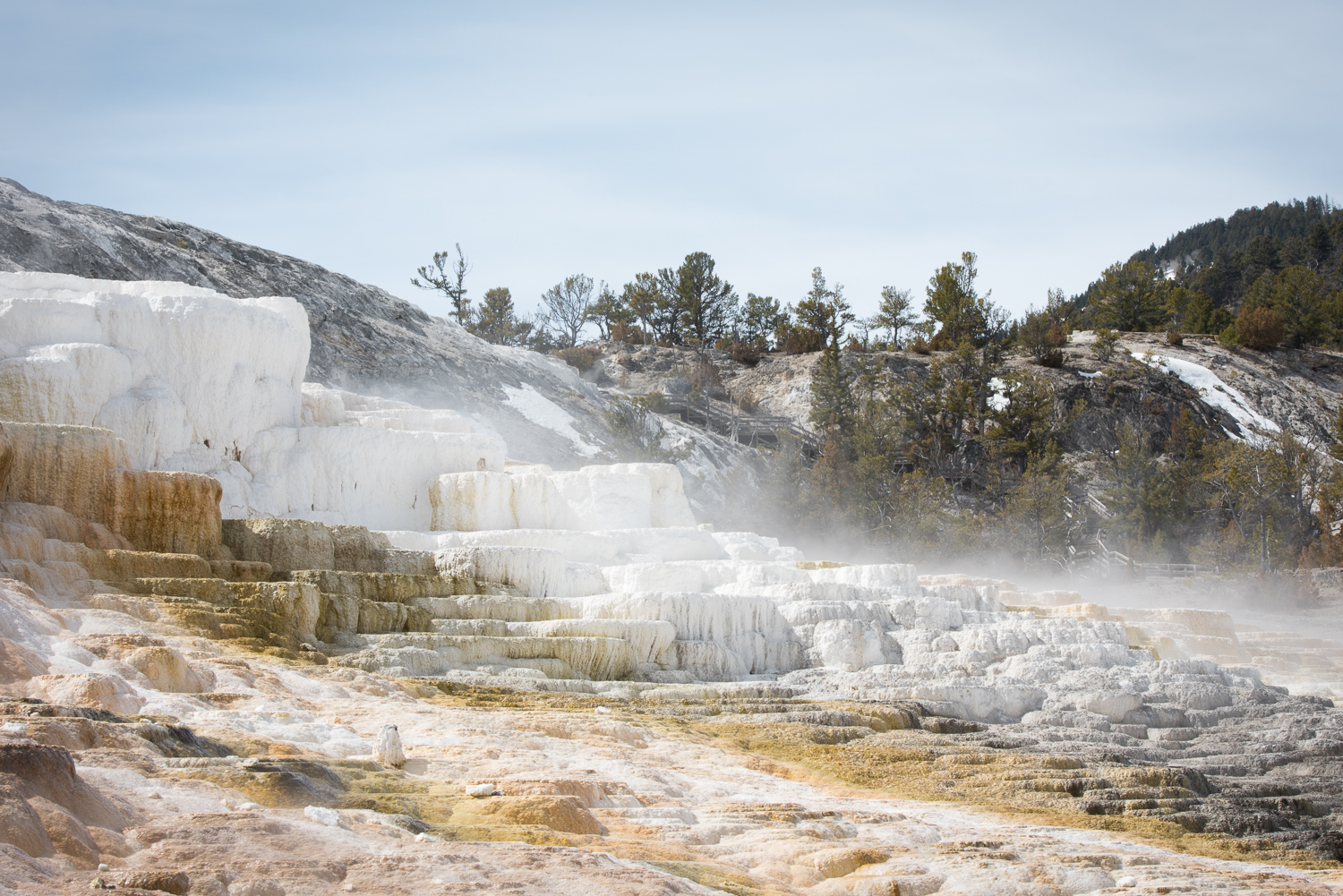 Mammoth Hot Springs were a study in neutrals (Bill)