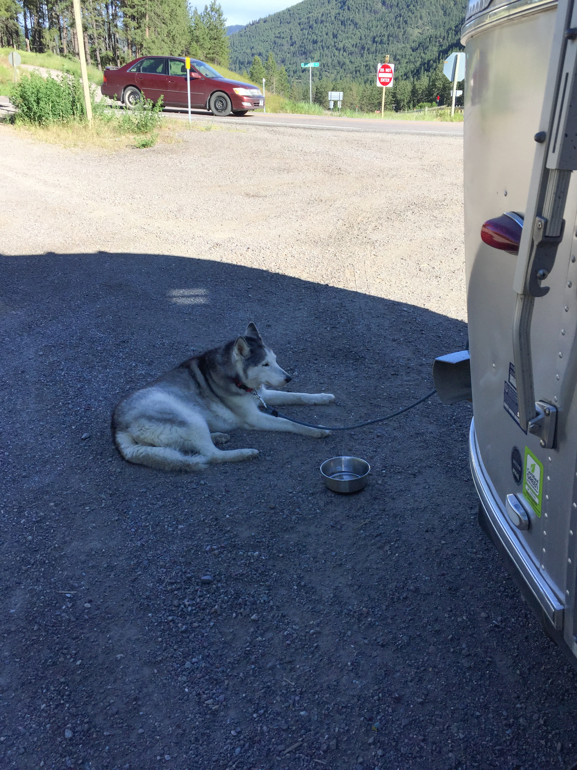 Inga always finds a nice shady spot to chill out