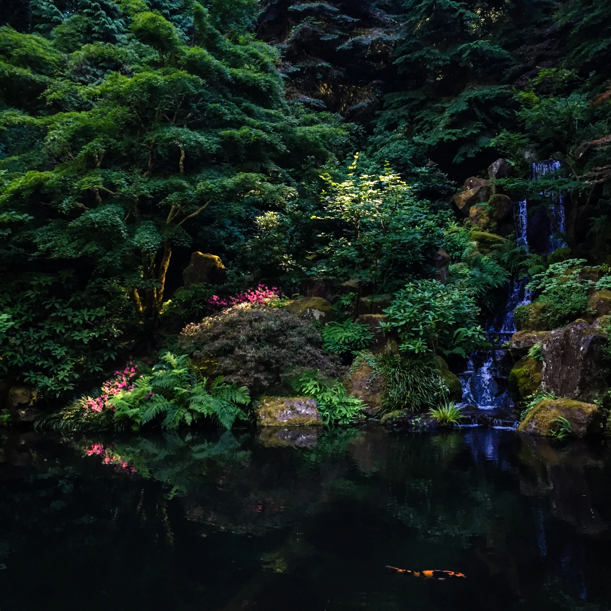Very necessary zen moment from the Japanese Gardens