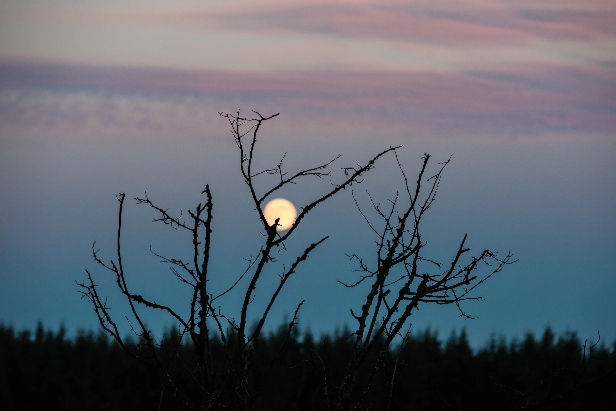 Full moon over Tanglewood Farm