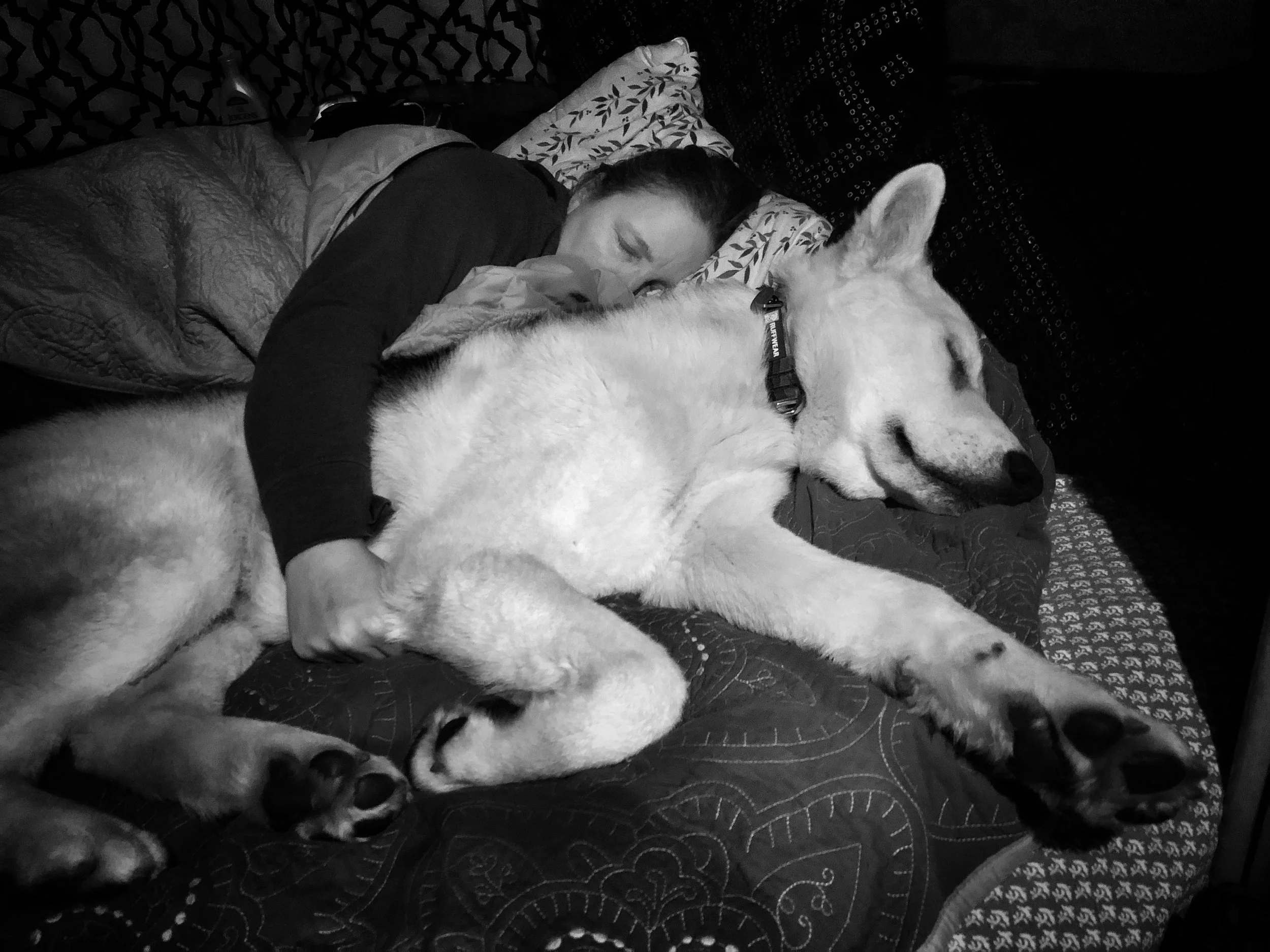He's a total snuggle-dog (this pic was taken within a week of his adoption).