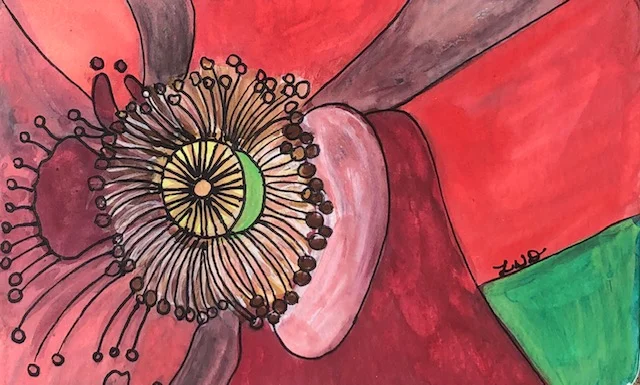 Shadows on a Poppy Mixed Media 3.5x5.5" For Sale $50.00