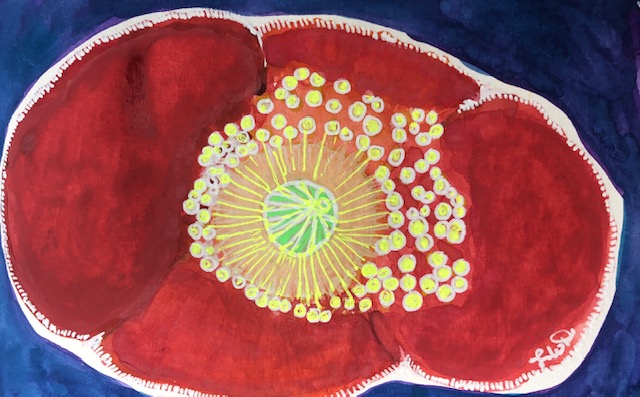 A Red Poppy Mixed Media 3.5x5.5" For Sale $50.00