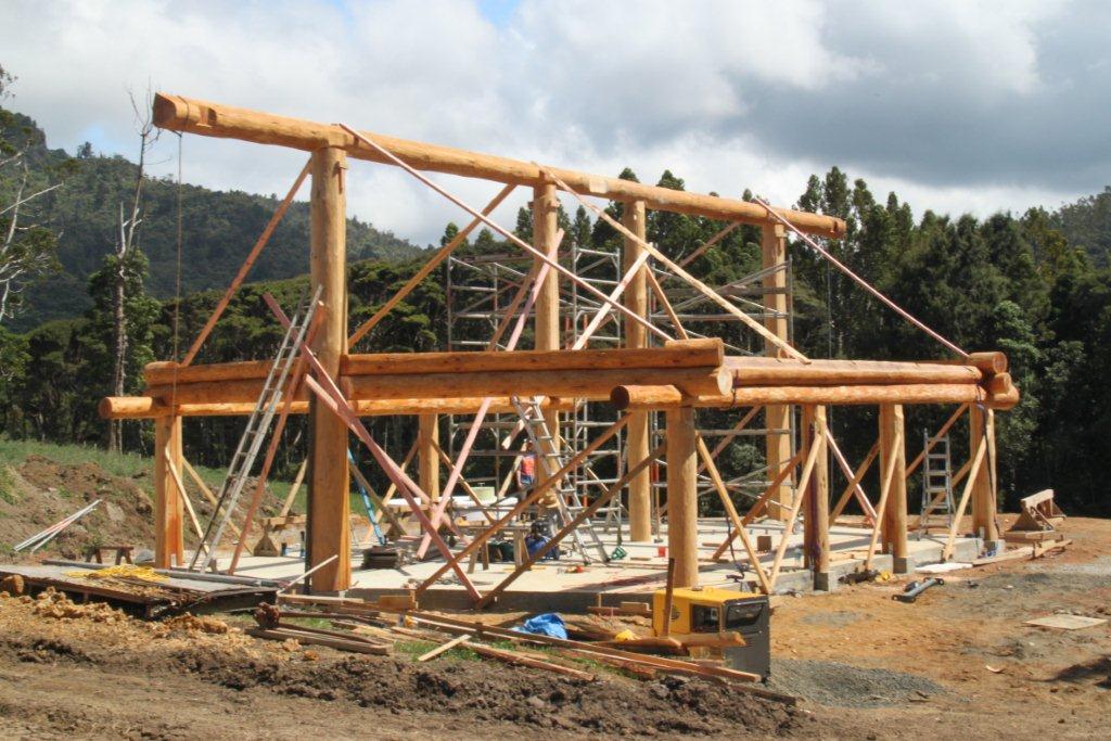 Twin Peaks Build Lot 7 322.jpg