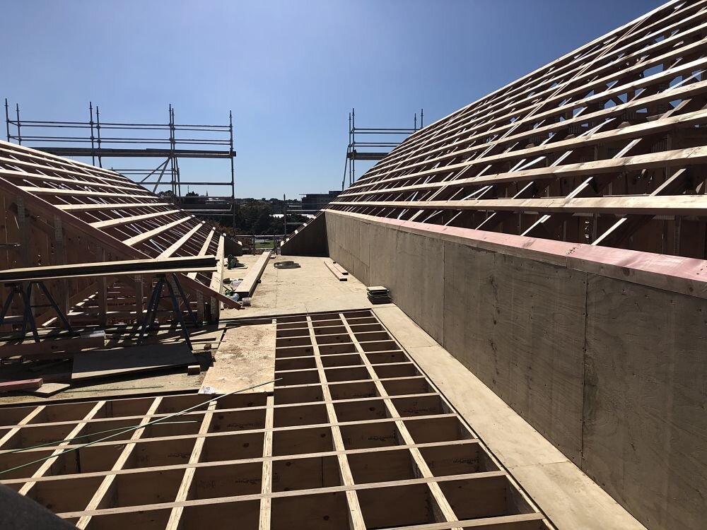Roof framing.jpg