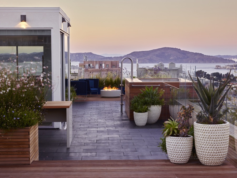 San Francisco Roof Garden