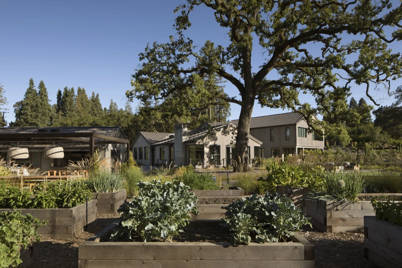 siteworks_peninsula-estate-home-6.jpg