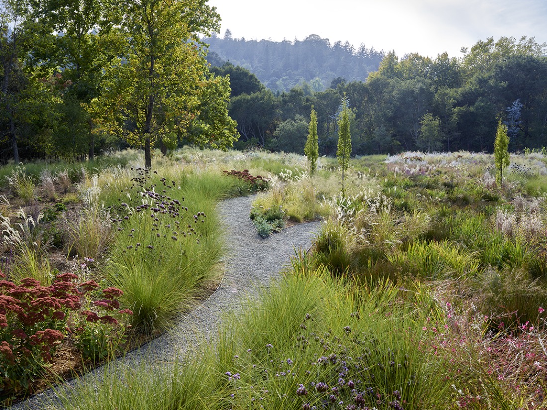 siteworks-landscape-construction-woodside-corten-steel-meadow-6.jpg