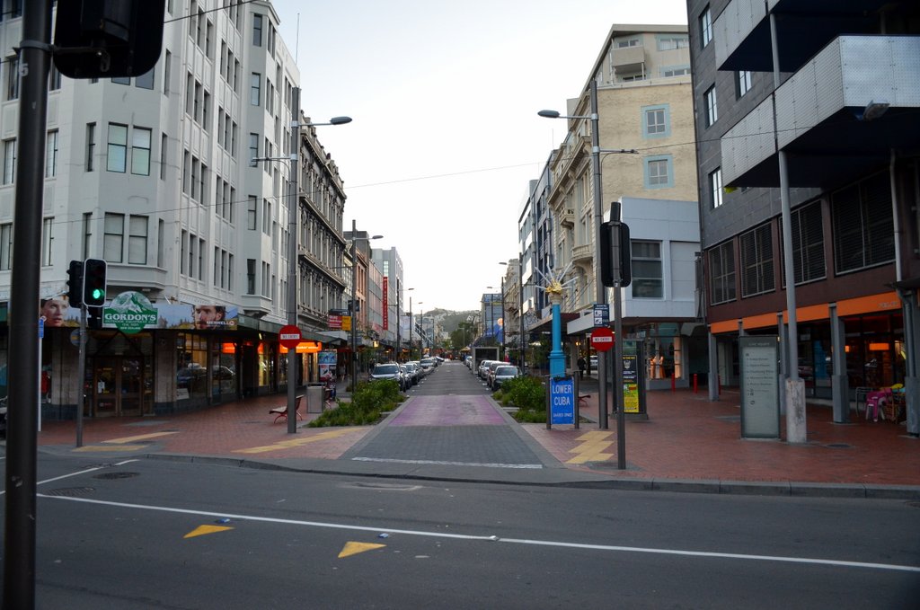 Cuba Street, where the "dirty hippies" hang out according to the Cambridge Hotel deskman. We quite liked it.