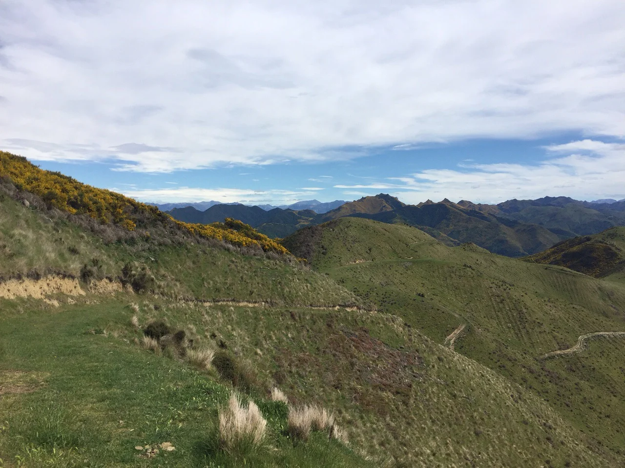 Kaikoura and Kaikoura Coast Track