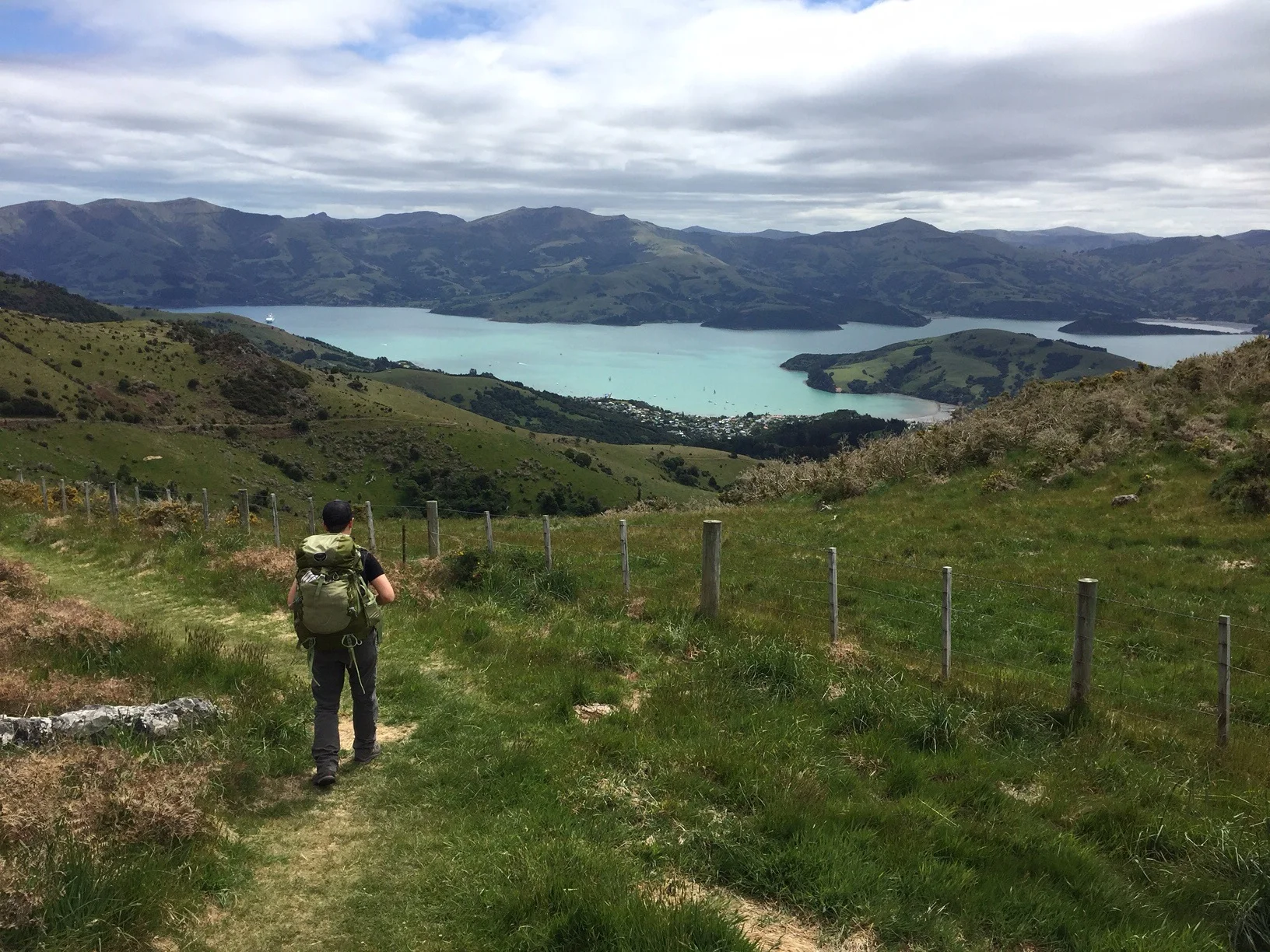 On the track heading back to Akaroa. 