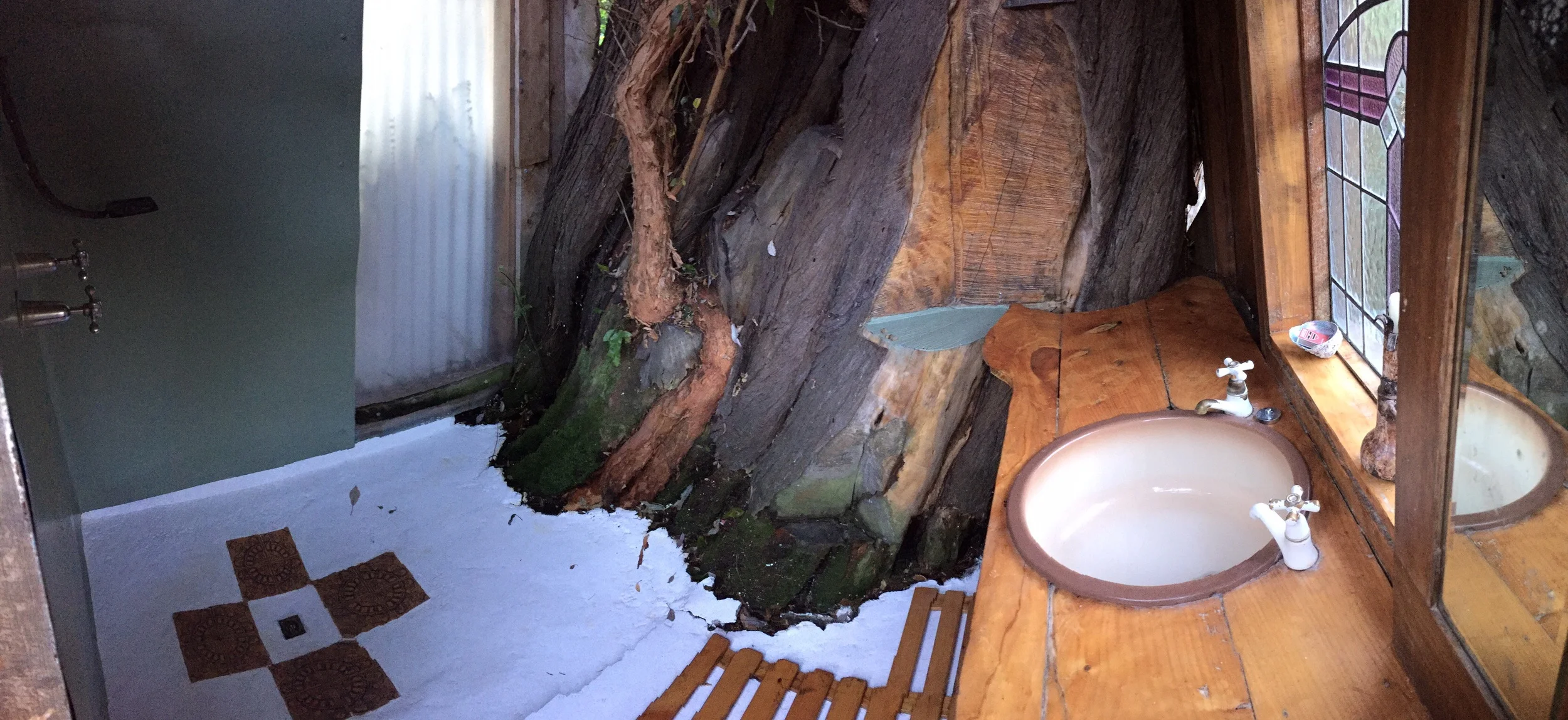 50% shower, 50% tree. 100% bird house.