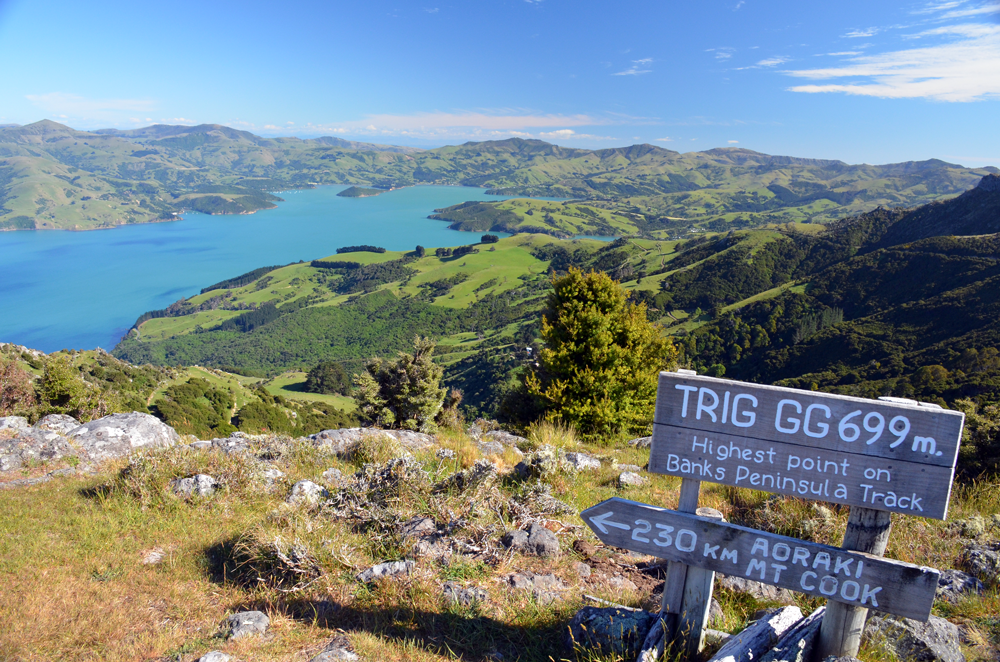 Another beautiful view found on the Banks Track, Akaroa is down there somewhere.