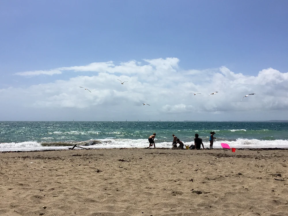 Auckland, North Shores, Volcanoes and Caves