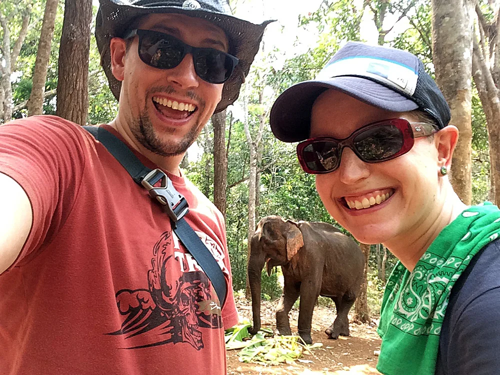 Friends with Elephants