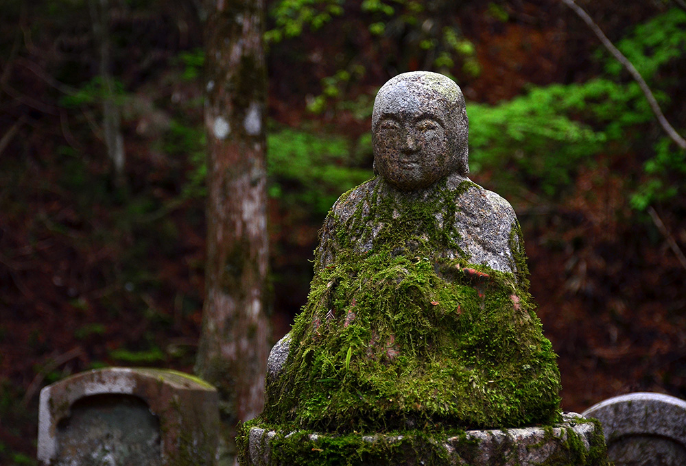 Magical Buddha statue with a good mix of old and serene.