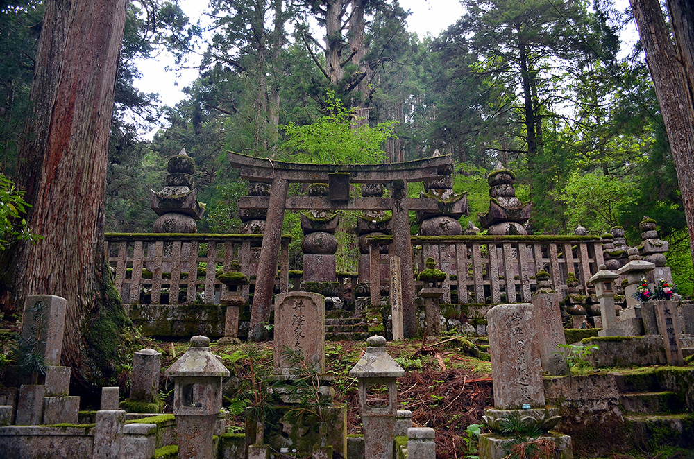 Not only are there old shrines but the forest is really old as well. Several of the largest trees are several hundred years old.