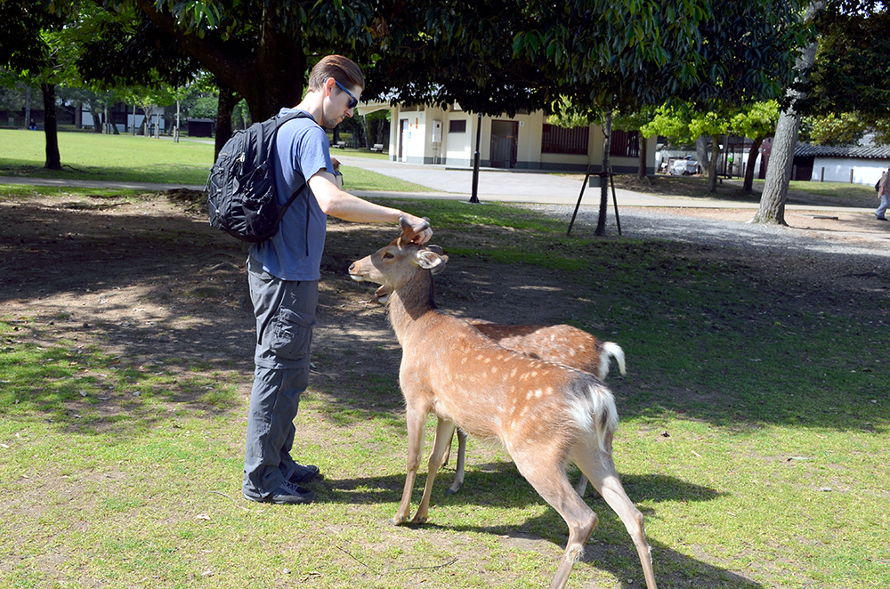 deer_park8.jpg