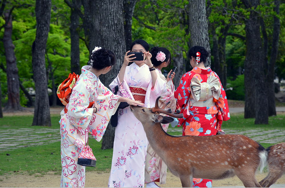 walk_nara7.jpg