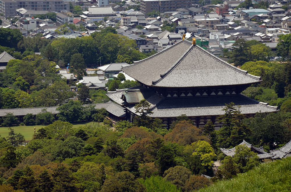 back_of_temple.jpg