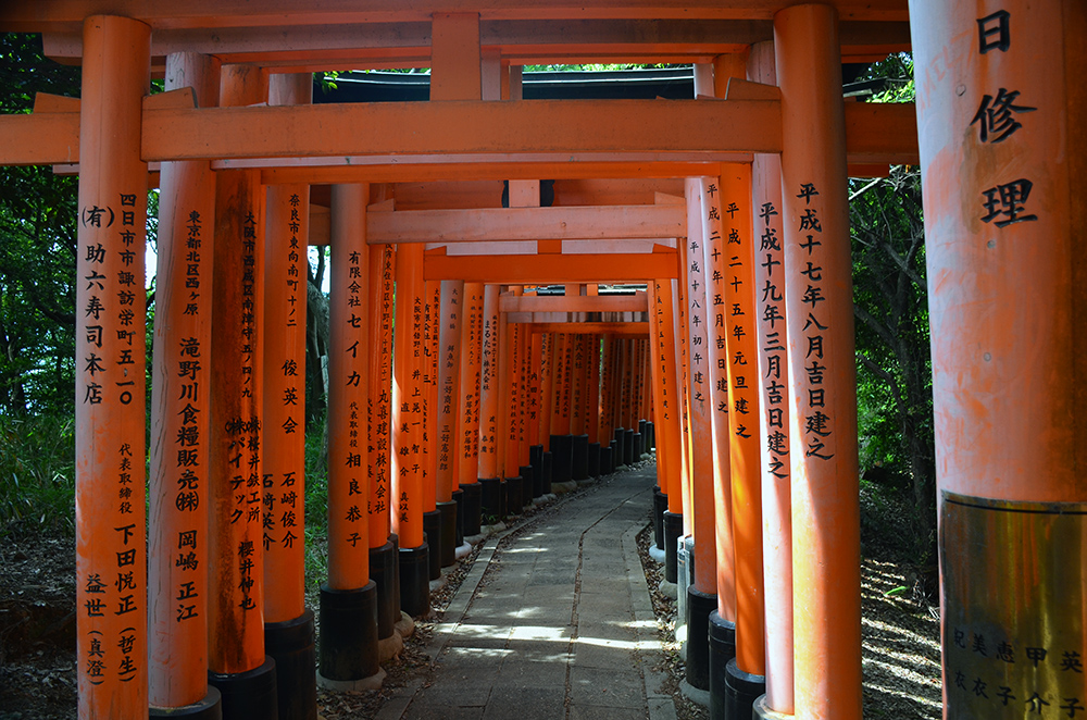 kyoto_walk6.jpg