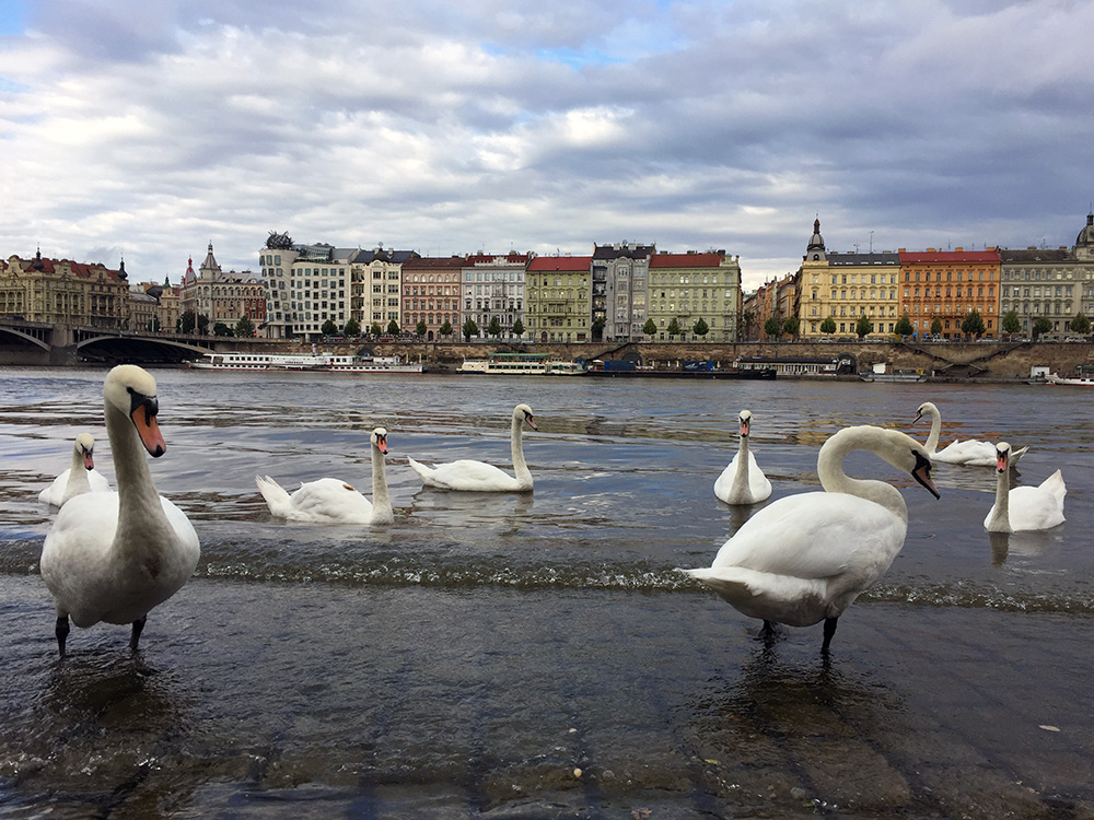 Praha Prague Part 1