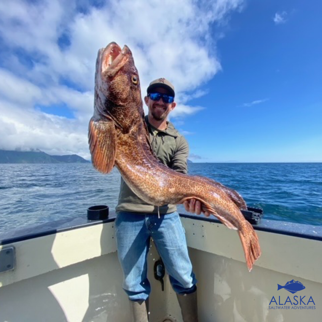 Rock Fish And Lingcod Trips Available Daily