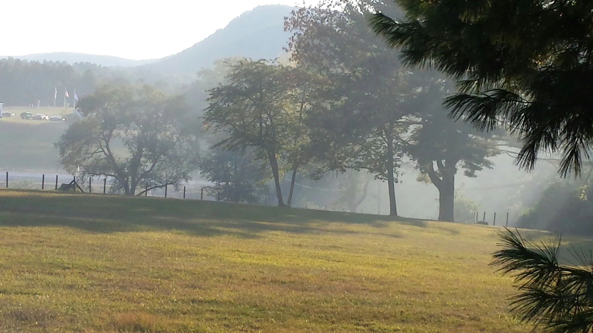 20150918_174123_resized.jpg