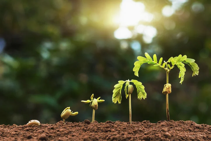 Beyond the Founding Stage: It’s Time for Your Startup’s First Hires