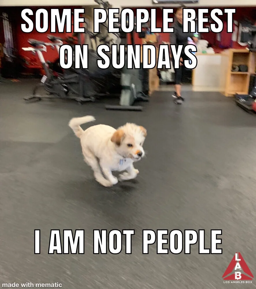 Watermarked(2019-03-24-1657).jpg