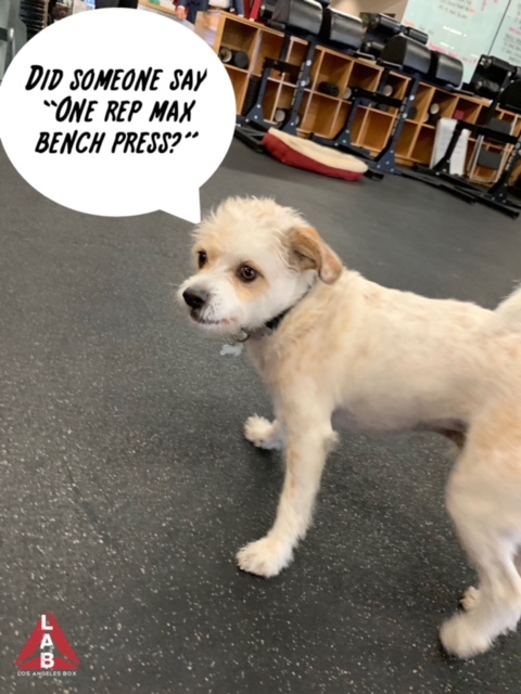 Watermarked(2019-05-17-2159).jpg