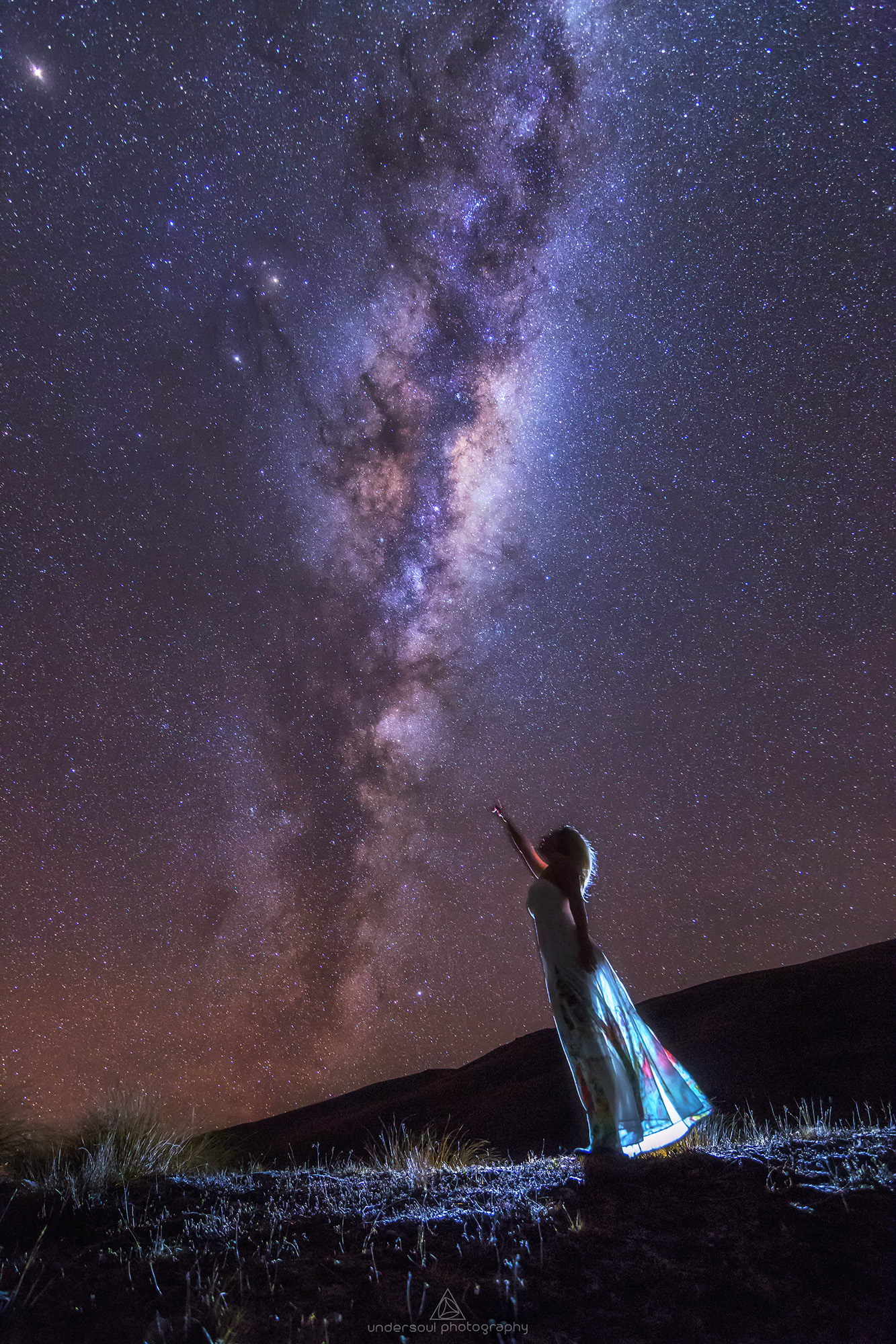 Whats The Point Web copy.jpg