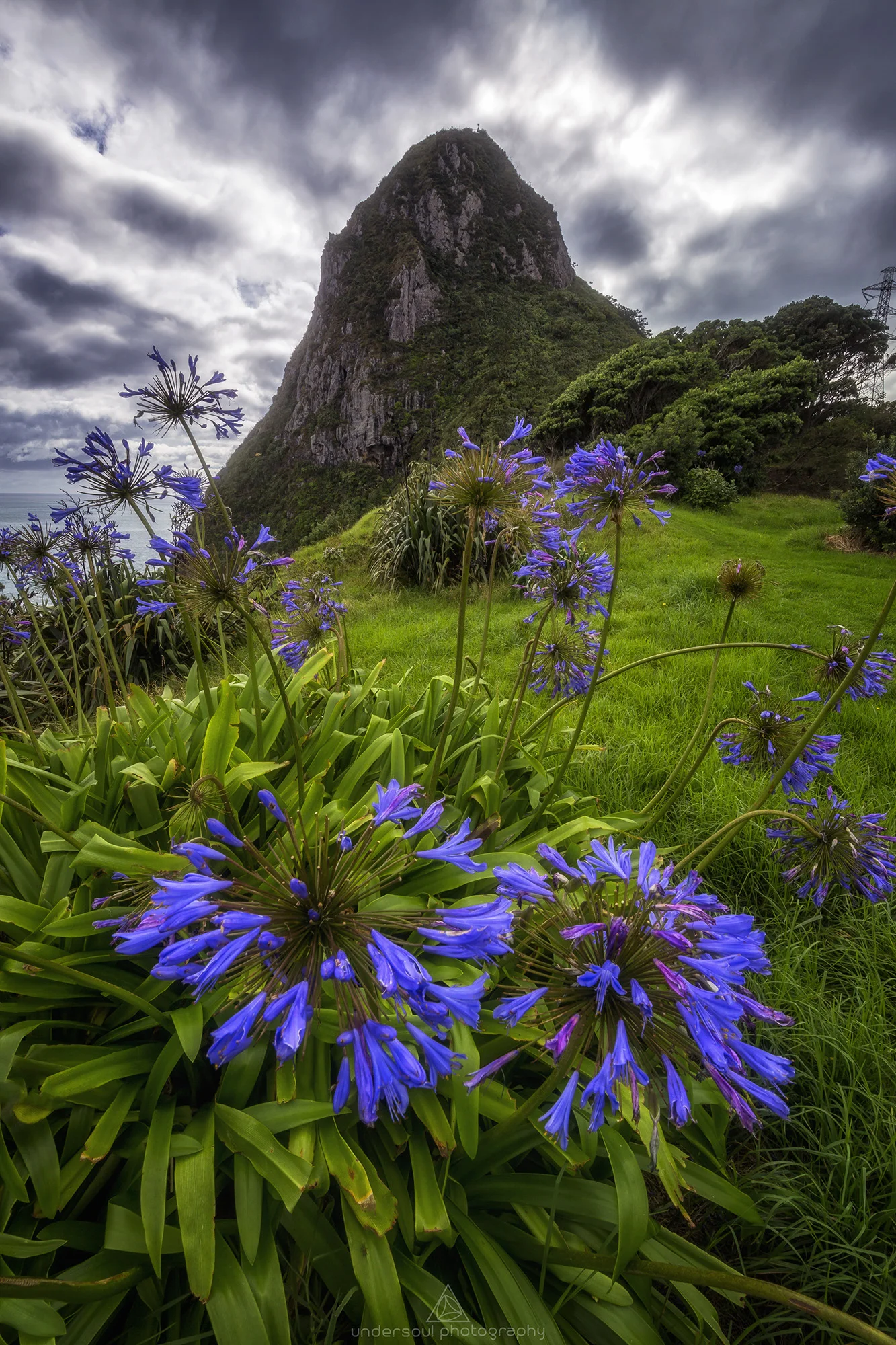 paritutu_rock_taranaki_undersoul