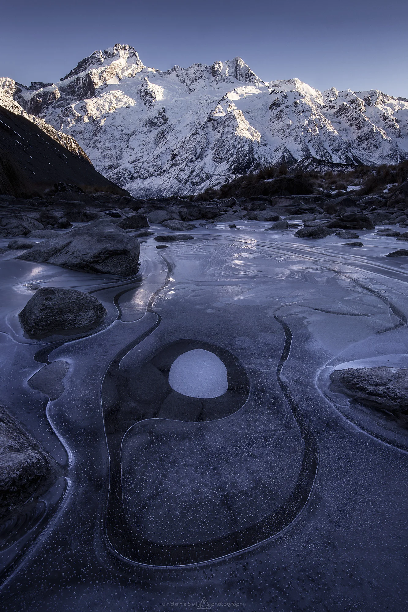 Just Ordered Web.jpg